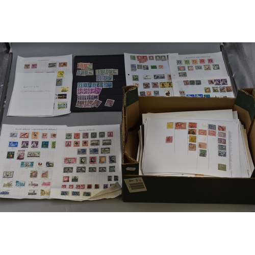 447 - Large Selection of Mounted Stamps Covering mainly The British Commonwealth dating From The 1930s Onw... 