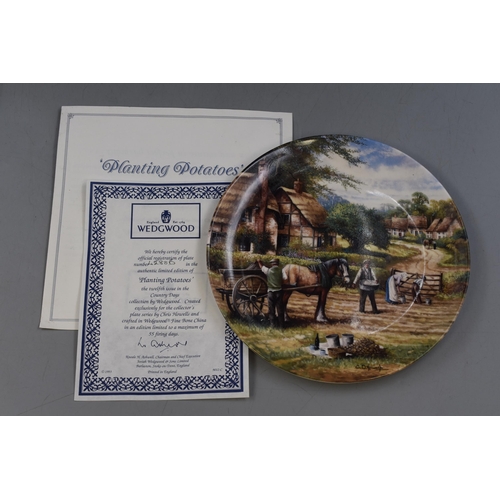 211 - A Selection of Twelve Limited Edition Wedgwood 'Country Days' Collectors Plates With Certificates. E... 