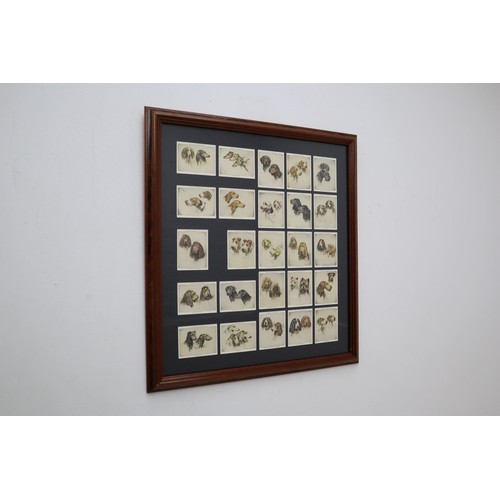 222 - John Player & Sons Arthur Wardle orginal set of 25 Cigarette Cards issued in 1933 in Framed and ... 