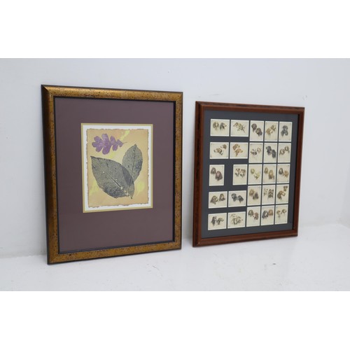 222 - John Player & Sons Arthur Wardle orginal set of 25 Cigarette Cards issued in 1933 in Framed and ... 