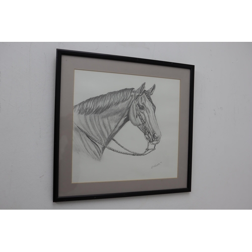 223 - Three Framed and Glazed Pencil Drawings By E Flemming. 2 Horses and a German Shepherd Dog. Horse 1 M... 