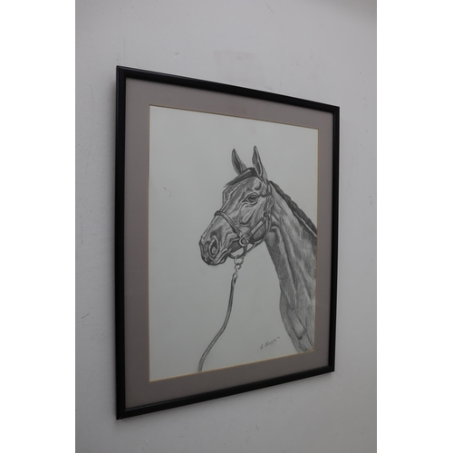 223 - Three Framed and Glazed Pencil Drawings By E Flemming. 2 Horses and a German Shepherd Dog. Horse 1 M... 