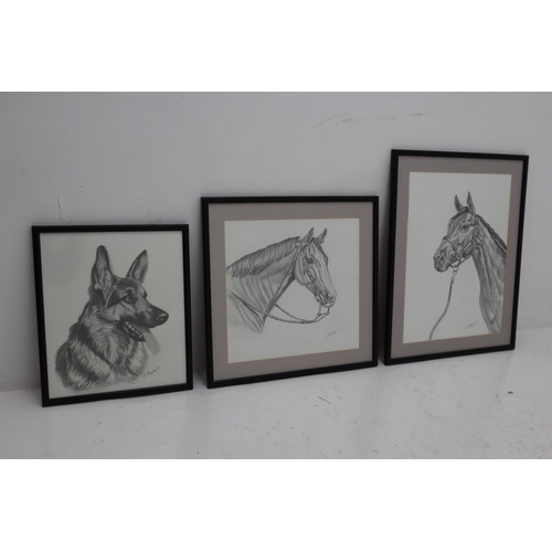 223 - Three Framed and Glazed Pencil Drawings By E Flemming. 2 Horses and a German Shepherd Dog. Horse 1 M... 