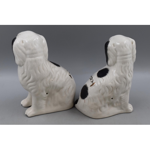 157 - A Pair of Vintage Staffordshire Ceramic Fireside Dogs. Tallest Approx 23cm Tall