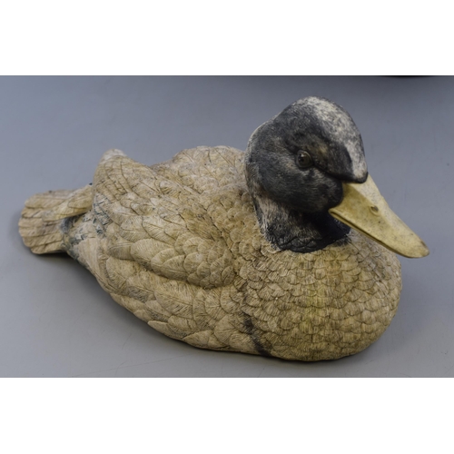 546 - Two Large Concrete Ducks Measuring Approx 15 Inches Tall and 17 in Length and a Resin Duck.