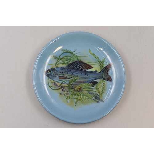 192 - Selection of Six Vintage Small Maddock Fish Plates