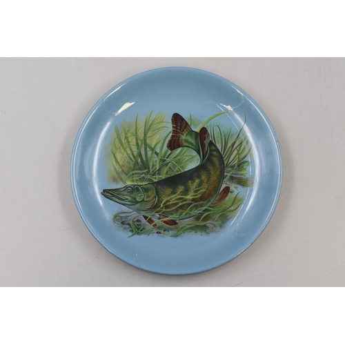 192 - Selection of Six Vintage Small Maddock Fish Plates