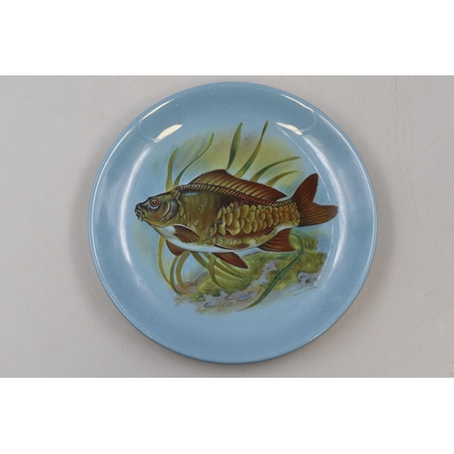 192 - Selection of Six Vintage Small Maddock Fish Plates