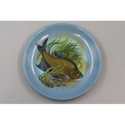 192 - Selection of Six Vintage Small Maddock Fish Plates