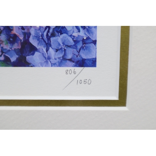 223 - Framed and Glazed Limited Edition Helen Parsley Print Signed by Artist with Signed Certificate of Au... 