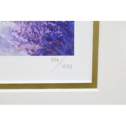 224 - Framed and Glazed Limited Edition Helen Parsley Print Signed by Artist with Signed Certificate of Au... 