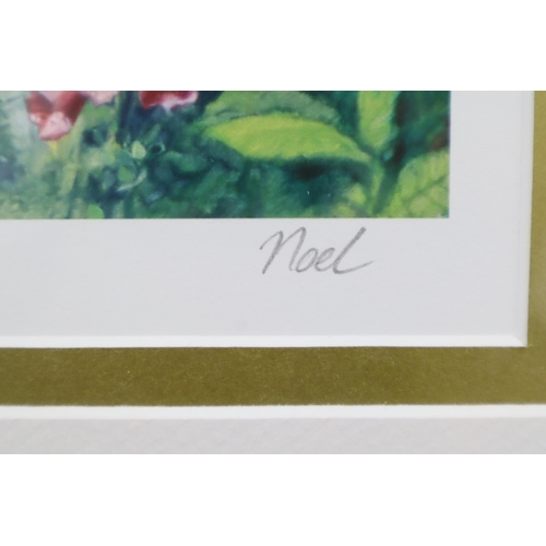 225 - Framed and Glazed Limited Edition Noel Gregory Print Signed by Artist with Signed Certificate of Aut... 