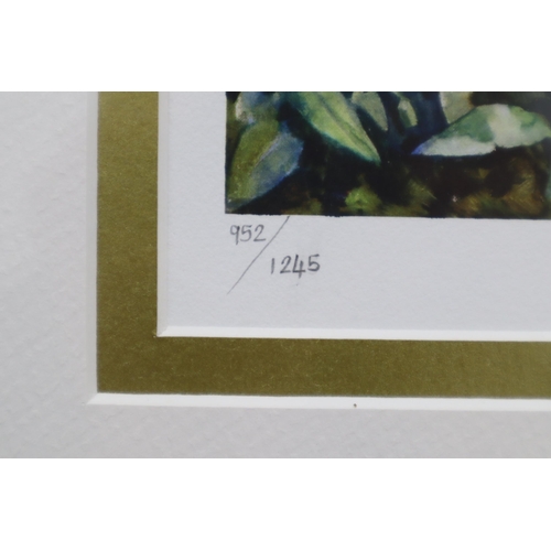 226 - Framed and Glazed Limited Edition Noel Gregory Print Signed by Artist with Signed Certificate of Aut... 