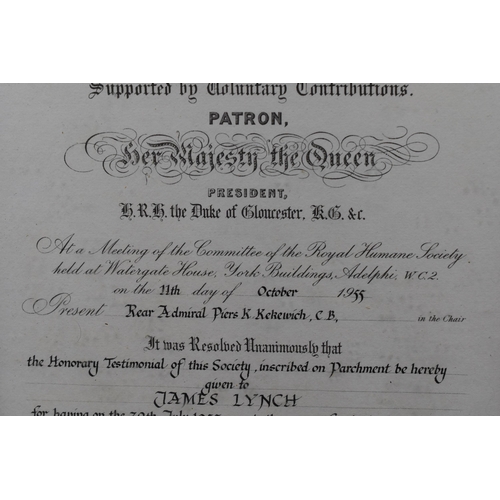 230 - Vintage Framed and Glazed Royal Humane Society Rescue Certificate Awarded to a James Lynch by a Rear... 