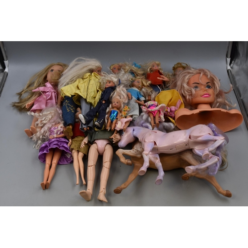 357 - A Mixed Selection of Dolls and Doll Accessories. Includes Barbie, Simba and More.