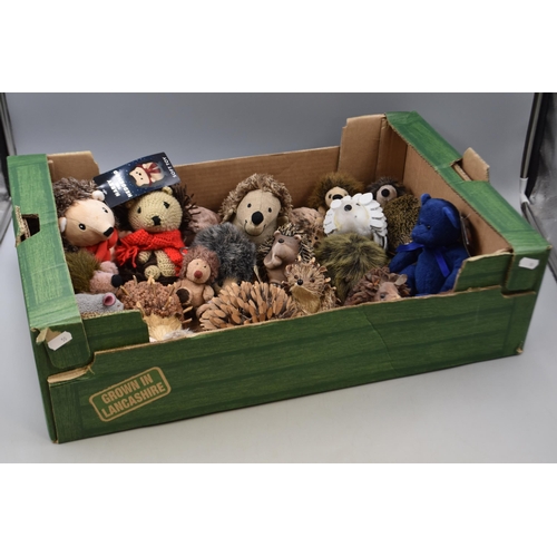 671 - Box Full of Hedgehogs Includes Harry The Hedgehog With Tag and Bristles Collectable Paperweight. Als... 