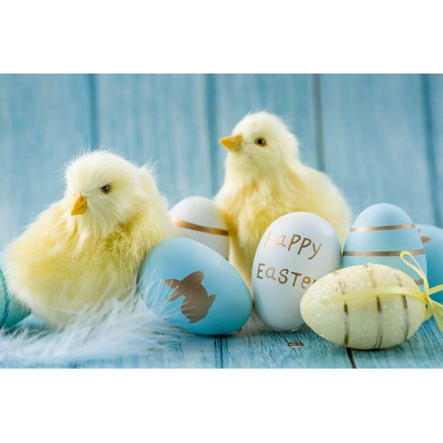 0 - We are now Closed For our Easter Break.We Re-Open on Monday the 10th April for our Next Sale Startin... 