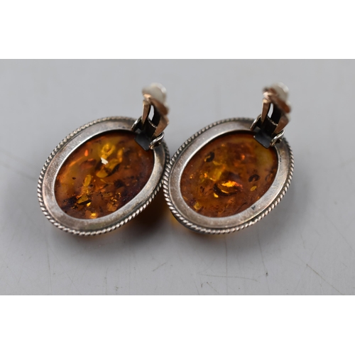 59 - A Pair of Unmarked Silver Amber Clip on Earrings, In Presentation Box.