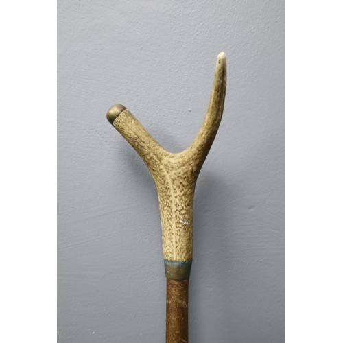 330 - Vintage Deer Horn Topped Birch Walking Staff approx 54