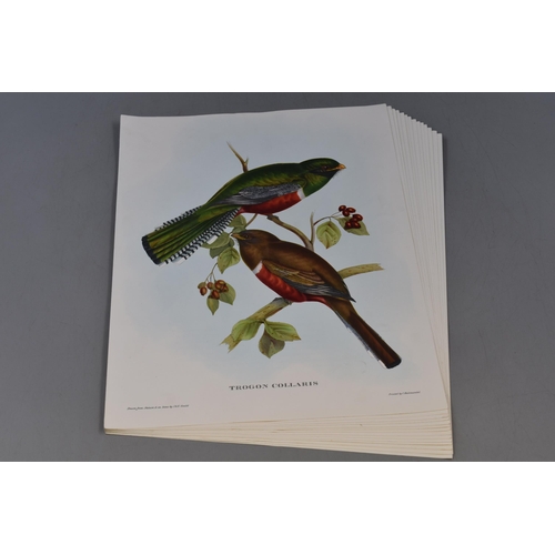 400 - Selection of 15 Full Colour J Gould Bird Printed by Hullmandel (12