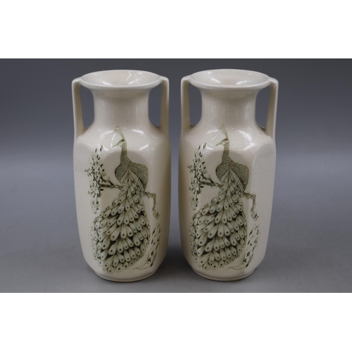 272 - Pair of Vintage kingston Pottery Peacock Vase's 8