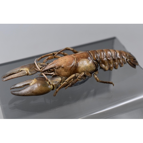 420 - Two Taxidermy Crayfish on Perspex Stand 6