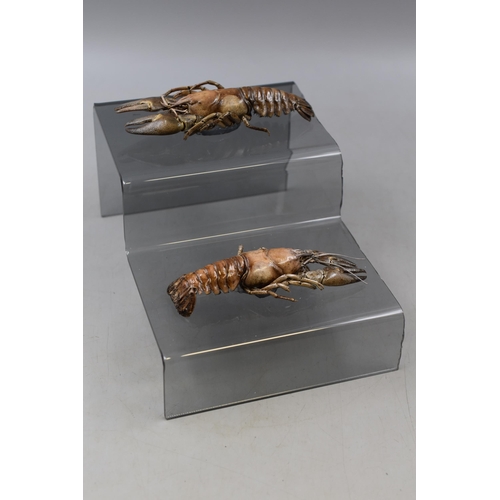 420 - Two Taxidermy Crayfish on Perspex Stand 6