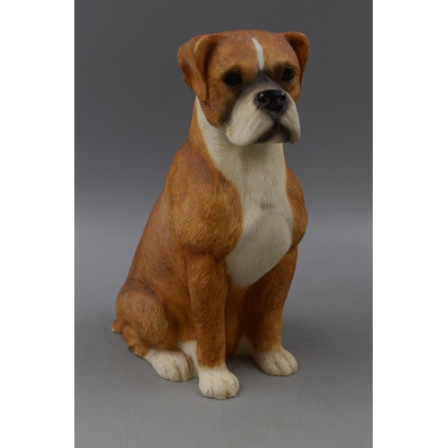 310 - Figure of a Boxer approx. 9.5