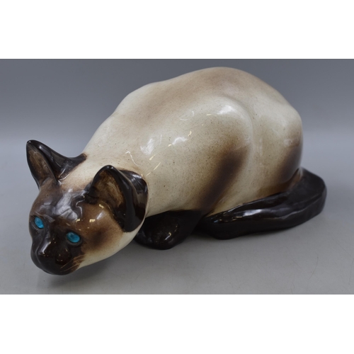 311 - Winstanley Kensington Siamese Cat Crouching with Blue Glass Eyes approx. 39cm long