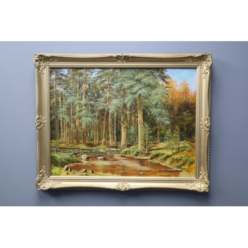 447 - Mid Century Gilt Framed Signed Sheila Turner Detailed Woodland Oil on Canvas Painting 28