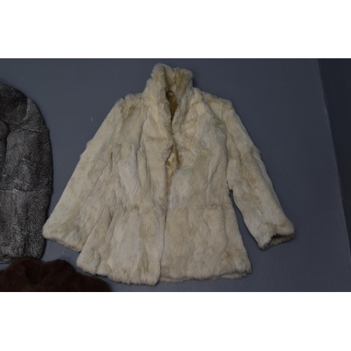 505 - A Selection of Three Size 10 Rabbit Fur Coats. Includes One Cream, One Grey and One Brown.