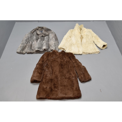 505 - A Selection of Three Size 10 Rabbit Fur Coats. Includes One Cream, One Grey and One Brown.