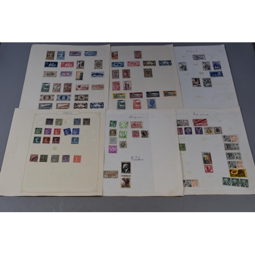 621 - Box Containing a Selection of Various Stamp Albums and Envelopes of Stamps (1000's)