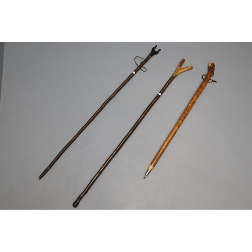 722 - Three Walking Sticks including Chestnut Root Ball, and two Thumbstick Walking Sticks (longest 46