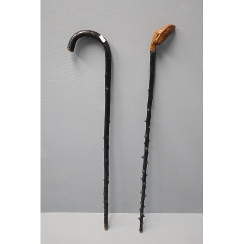 724 - Two Blackthorn Walking Sticks, Both Approx 37.5