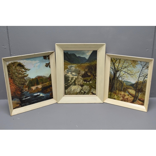 691 - Three Framed Vintage Oil on Board paintings Signed by Artist E Syddall Largest approx 20