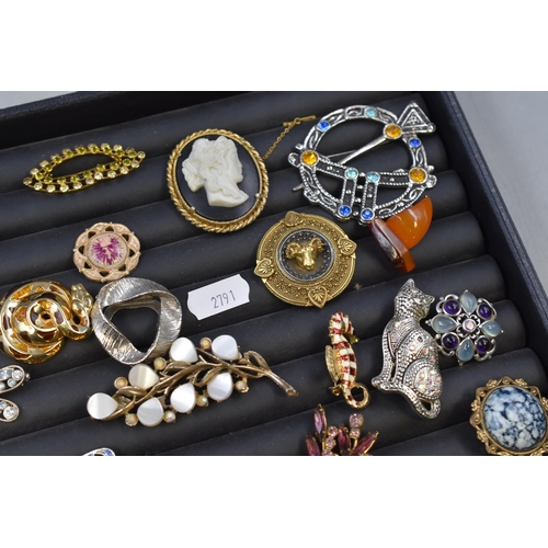 154 - A Selection of Twenty-Six Assorted Designer Brooches. Includes Cameo, Dragonfly, Butterfly and More.