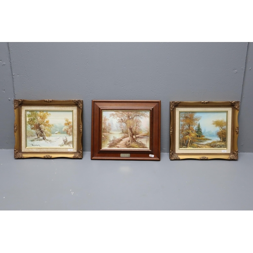 357 - Three Framed Oils on Canvass and Board Depicting Country Scenes in Framed Mounts