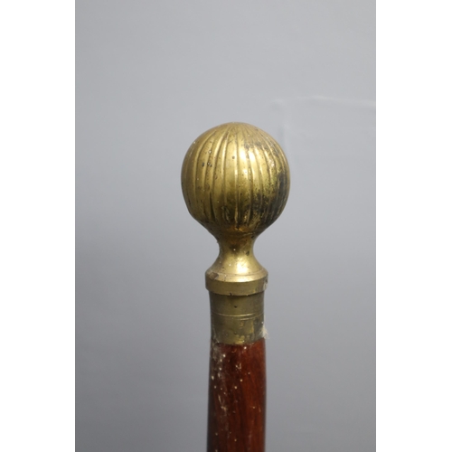 550 - Selection of 4 Collectable Walking Sticks including Brass Ball Topped (Longest 42