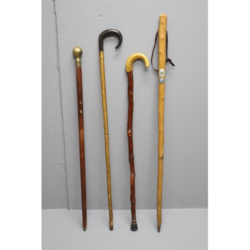 550 - Selection of 4 Collectable Walking Sticks including Brass Ball Topped (Longest 42