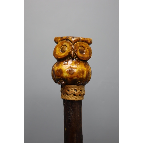 554 - Mixed Lot of Three Walking Sticks to include a Hand carved owl themed , Natural Horn Handled, and a ... 