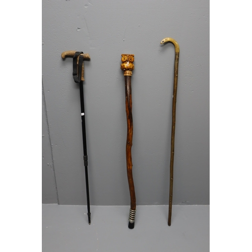 554 - Mixed Lot of Three Walking Sticks to include a Hand carved owl themed , Natural Horn Handled, and a ... 