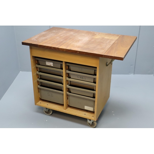 555 - Portable Laboratory Style Storage unit with 10 Drawers and Extendable Flap (30