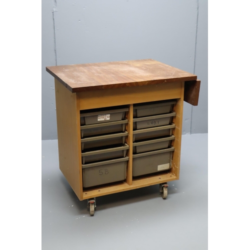 555 - Portable Laboratory Style Storage unit with 10 Drawers and Extendable Flap (30