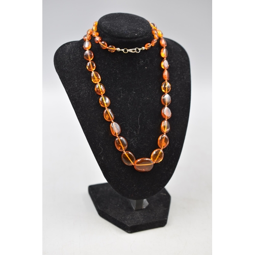 61 - An Oval Amber Beaded 24