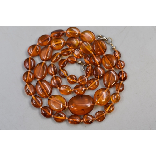 61 - An Oval Amber Beaded 24