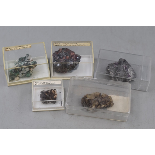 80 - Collection of Five Mixed Natural Earth Geology Precious Gemstones in Display Cases Largest approx 1.... 