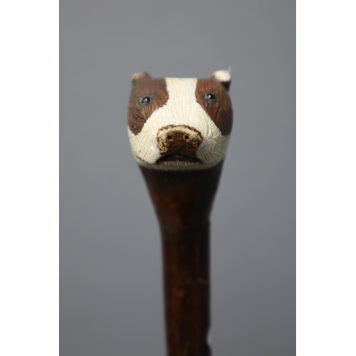 541 - Hand Carved Badger Head Handled natural Wood Walking Stick 39