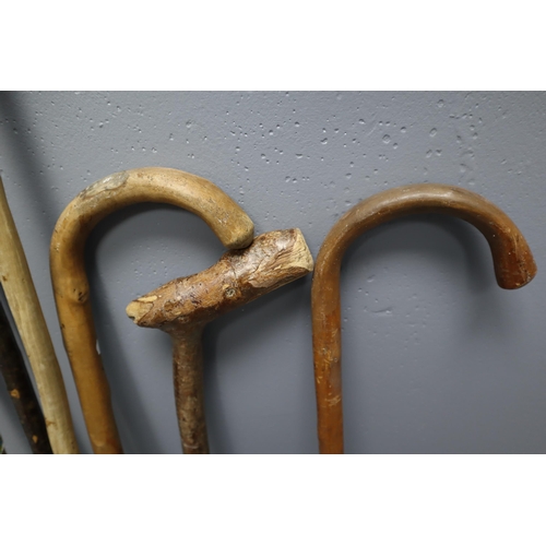 542 - Selection of 8 Vintage Walking Sticks and a Thumb Staff