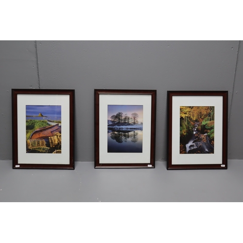 642 - Three Matching Framed and Glazed Photographic Prints (19